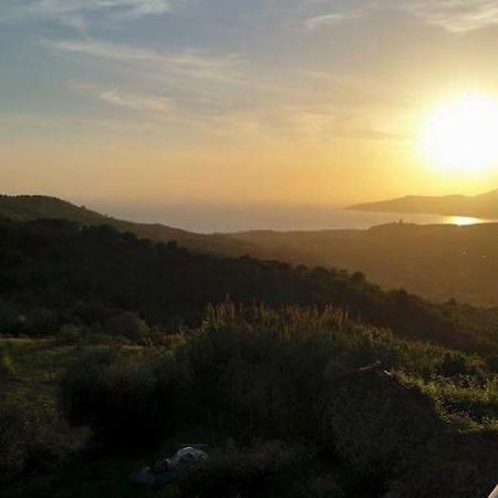 La Rosa Del Cilento Apartment Асчеа Екстериор снимка